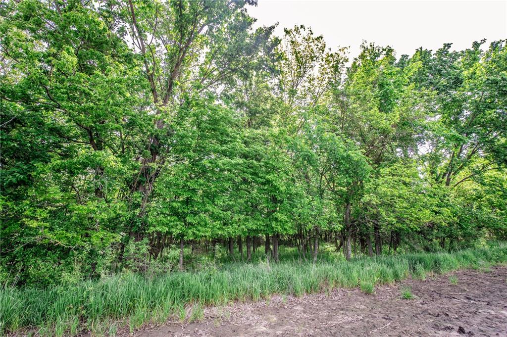 1051 Eisenhower Road Princeton, KS 66078 - Photo 65 of 99