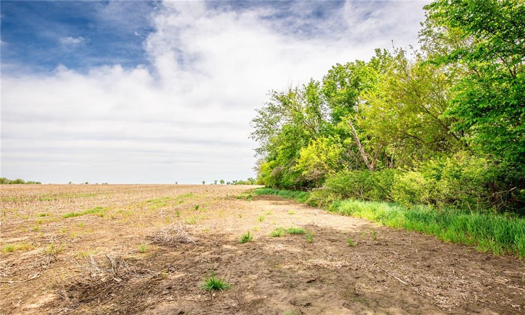 1051 Eisenhower Road Princeton, KS 66078 - Photo 66 of 99