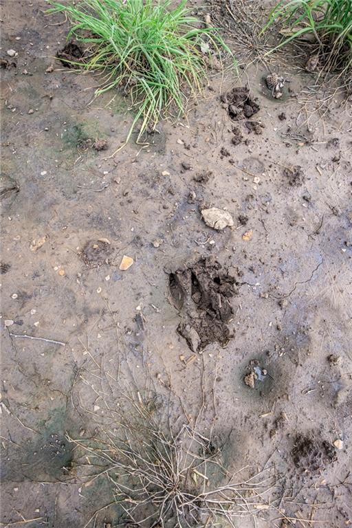 1051 Eisenhower Road Princeton, KS 66078 - Photo 68 of 99