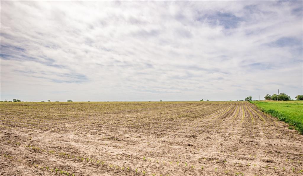 1051 Eisenhower Road Princeton, KS 66078 - Photo 8 of 99