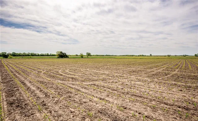 $1,331,000 | 1051 Eisenhower Road, Princeton, KS 66078