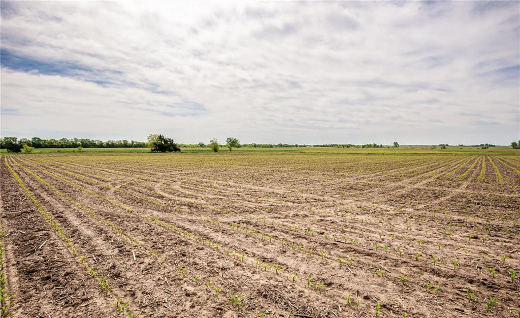 1051 Eisenhower Road Princeton, KS 66078 - Photo 10 of 99