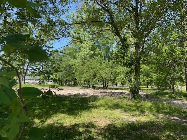 11 Shotwell Street Houston, TX 77016 - Photo 5 of 6