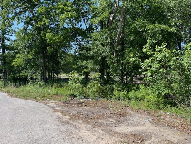 11 Shotwell Street Houston, TX 77016 - Photo 6 of 6