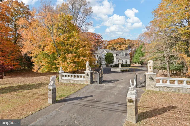 a view of a basket ball ground