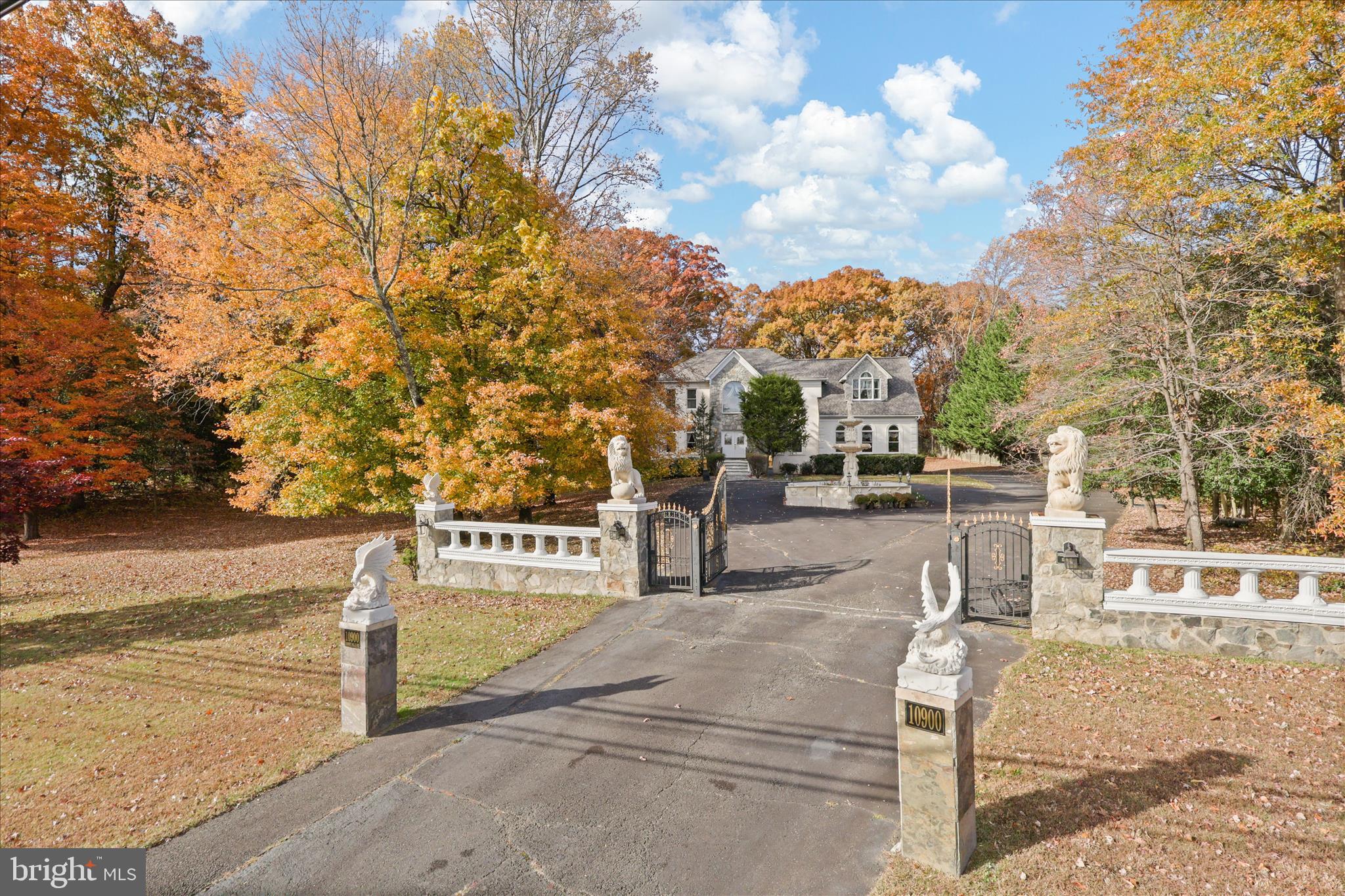 a view of a basket ball ground