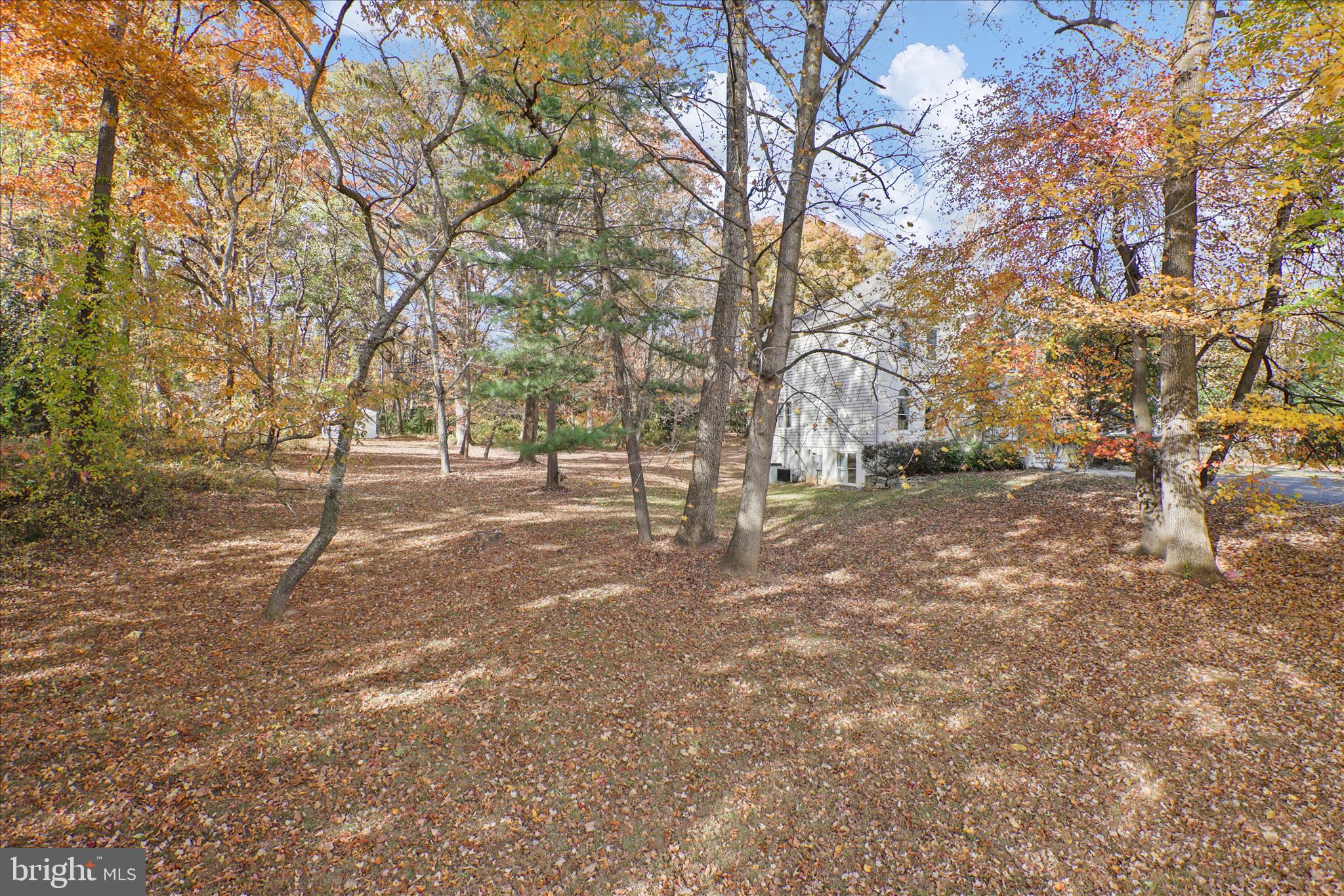 10900 Sunset Hills Road Reston, VA 20190 - Photo 9 of 15 Private 2 acre wooded lot - can build another home