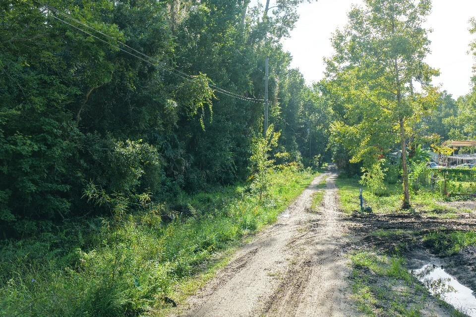 Gobbler Road Astor, FL 32102 - Photo 12 of 33 Gallery Image 12