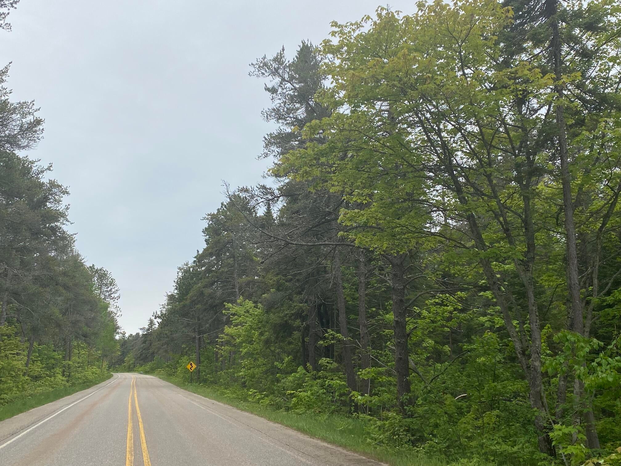 14689 North Whitefish Point Road Paradise, MI 49768 - Photo 4 of 5 Gallery Image 4