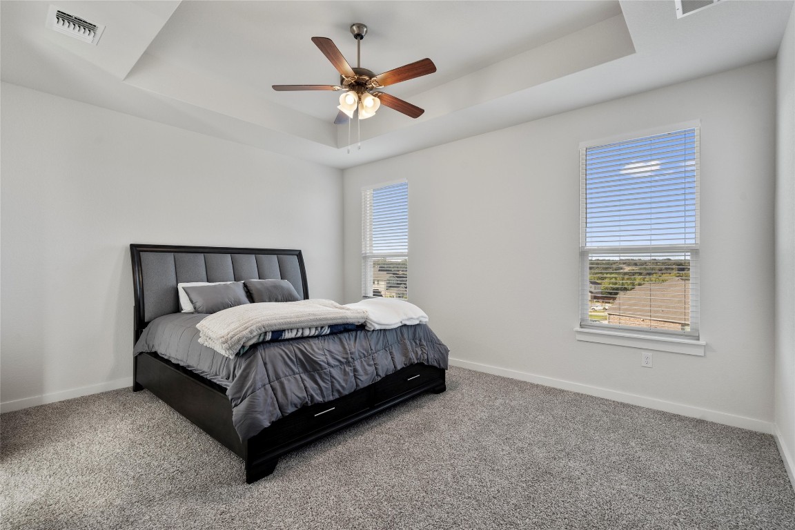 308 Barton Run Drive Georgetown, TX 78628 - Photo 10 of 17