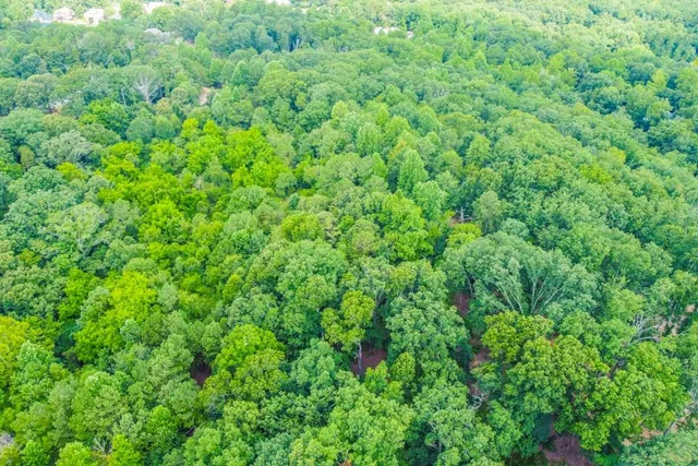 $199,000 | 4888 J M Turk Road, Flowery Branch, GA 30542