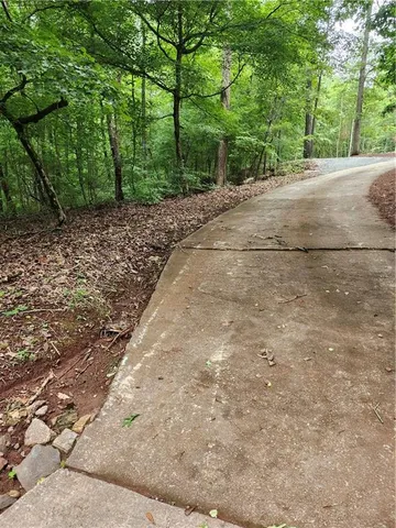 a view of a yard with plants and large trees