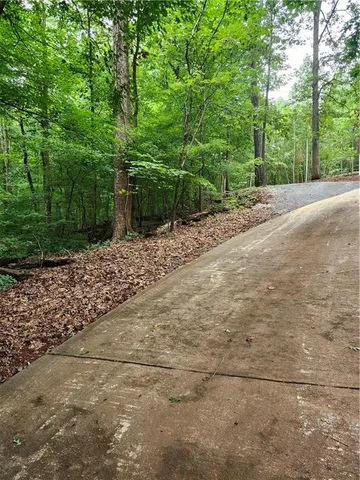 a view of a road with trees in front of it
