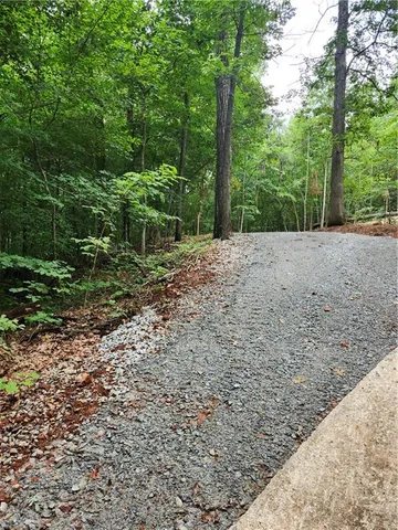 a view of a yard with plants and trees