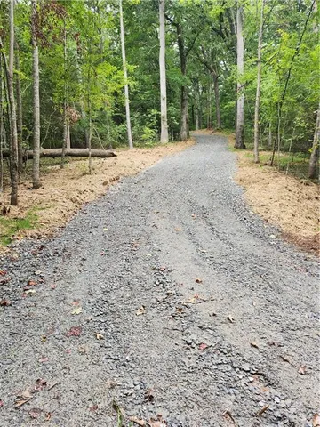 a view of a backyard with large trees