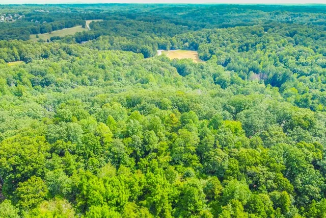 a view of a big yard with large trees