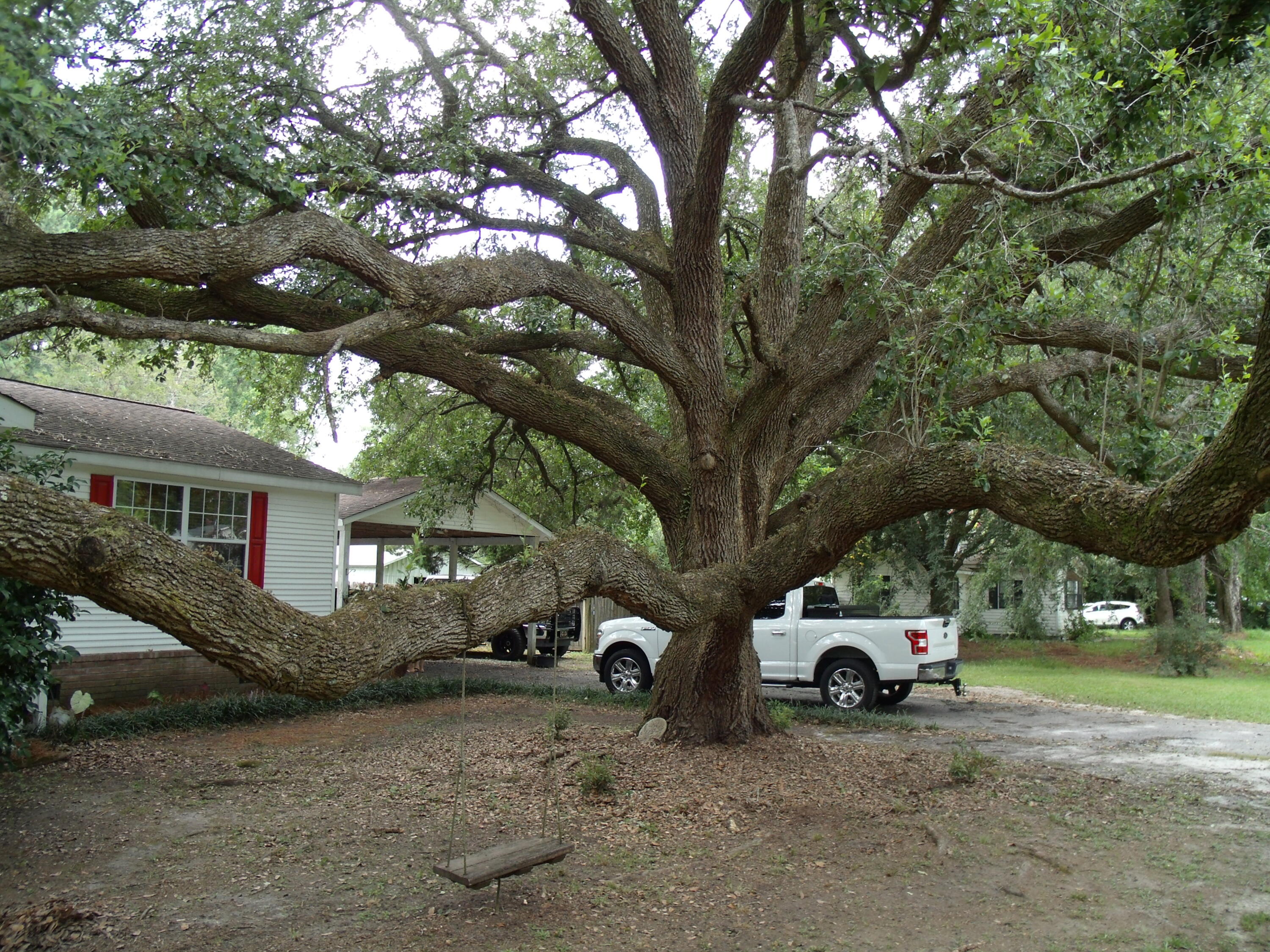 145 Reed Street Summerville, SC 29483 - Photo 2 of 40 GEDC6122