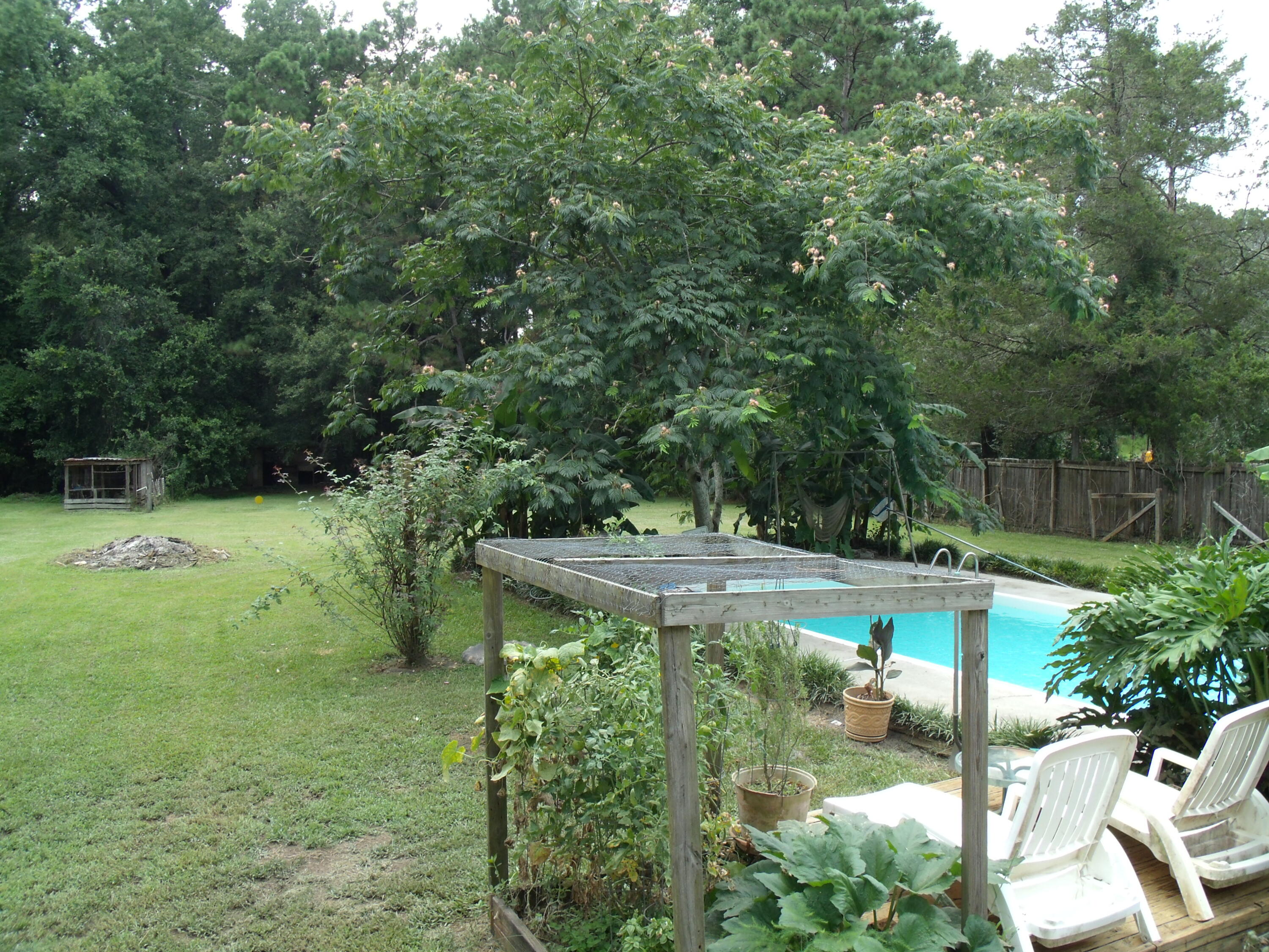 145 Reed Street Summerville, SC 29483 - Photo 6 of 40 GEDC6128