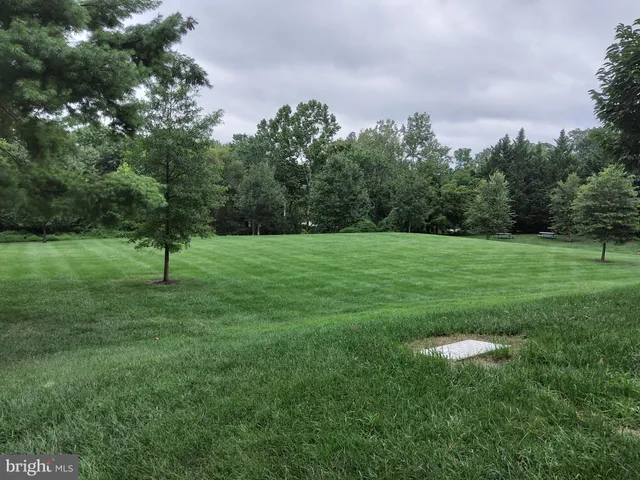 a view of a grassy field