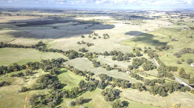 a view of an ocean beach