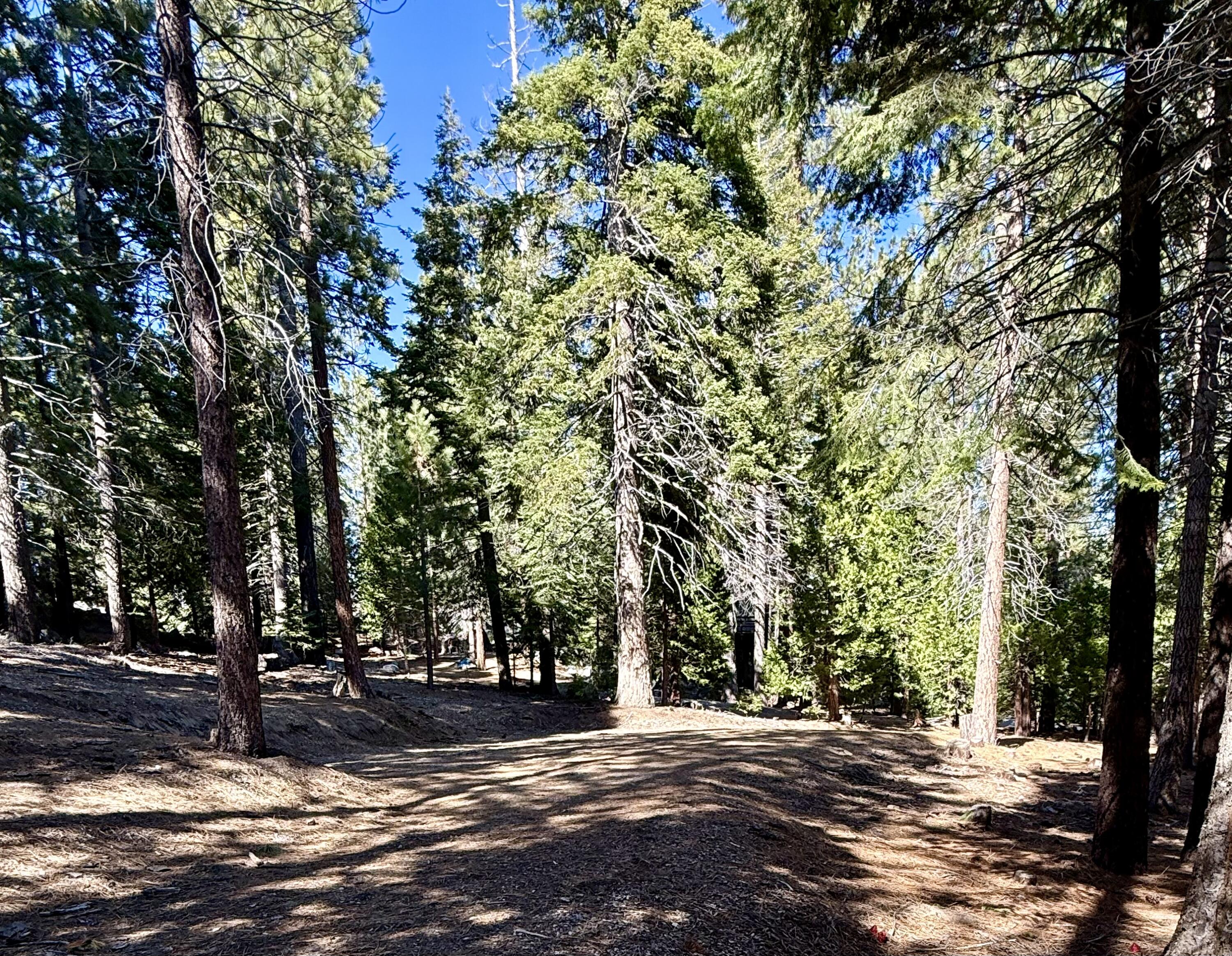 57603 Crest Drive Springville, CA 93265 - Photo 35 of 44 Space has been leveled for RV parking