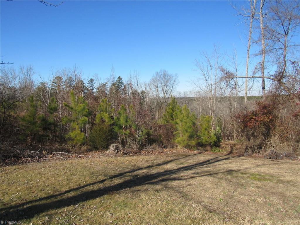 3187 Longs Mill Road Blanch, NC 27212 - Photo 29 of 45 Gallery Image 29