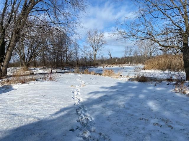 0 Wenonah Road Standish, MI 48658 - Photo 4 of 4