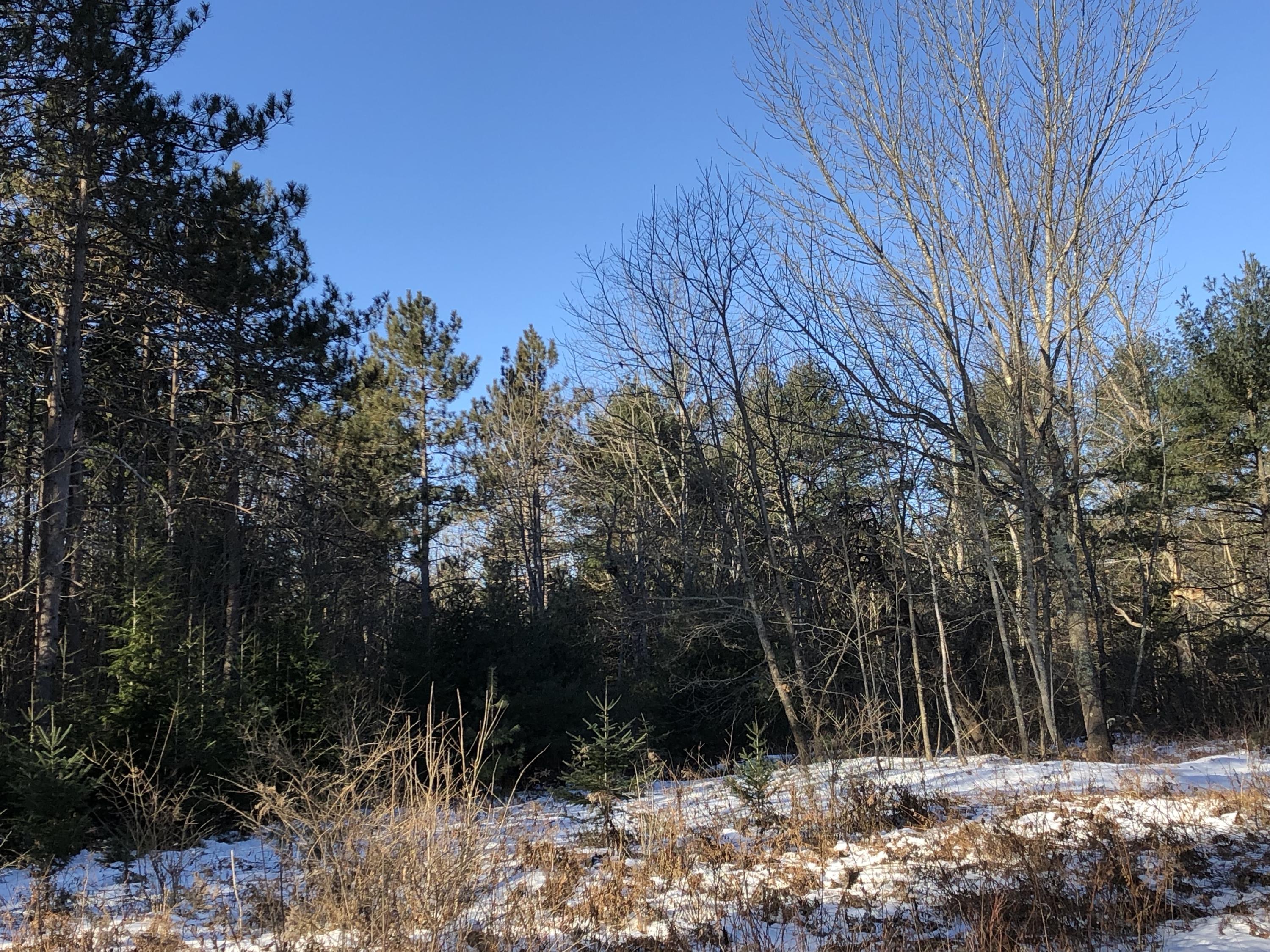 0 Baker Road Freeport, ME 04032 - Photo 1 of 9 Looking SW...