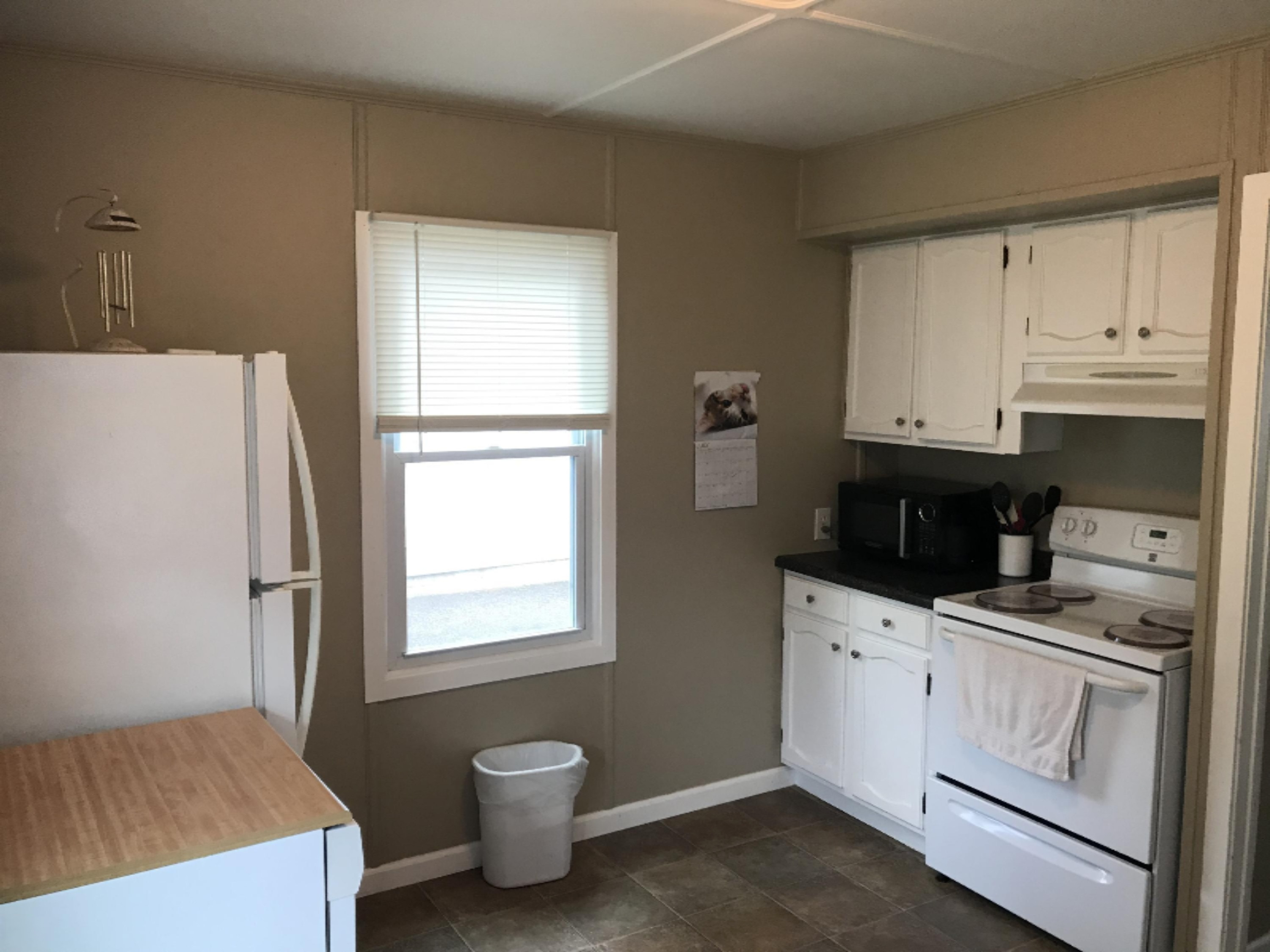 308 South Hooker Avenue Three Rivers, MI 49093 - Photo 6 of 16 IMG_2377