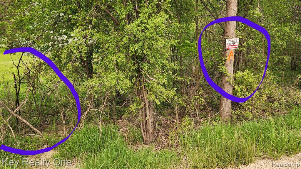 0 Pontiac Lake Road Oxford, MI 48371 - Photo 12 of 16