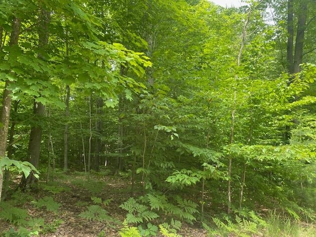 Green Briar Road Lake Ann, MI 49650 - Photo 10 of 16 1947287-bf27d65c-efae-4cf5-8b9b-02d59c3b81ba.JPG