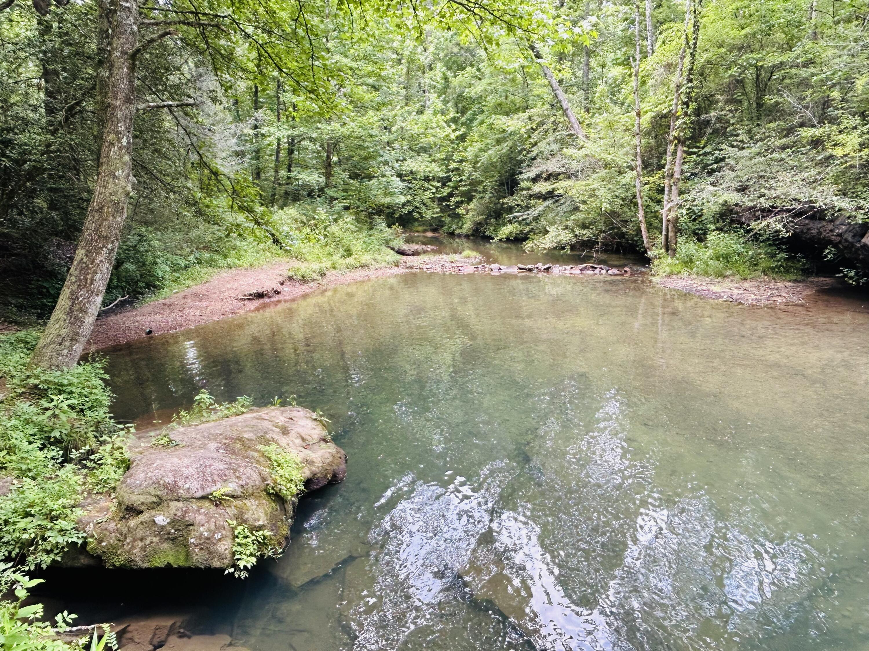 325 Pocket Road Whitwell, TN 37397 - Photo 48 of 58 POCKET CREEK