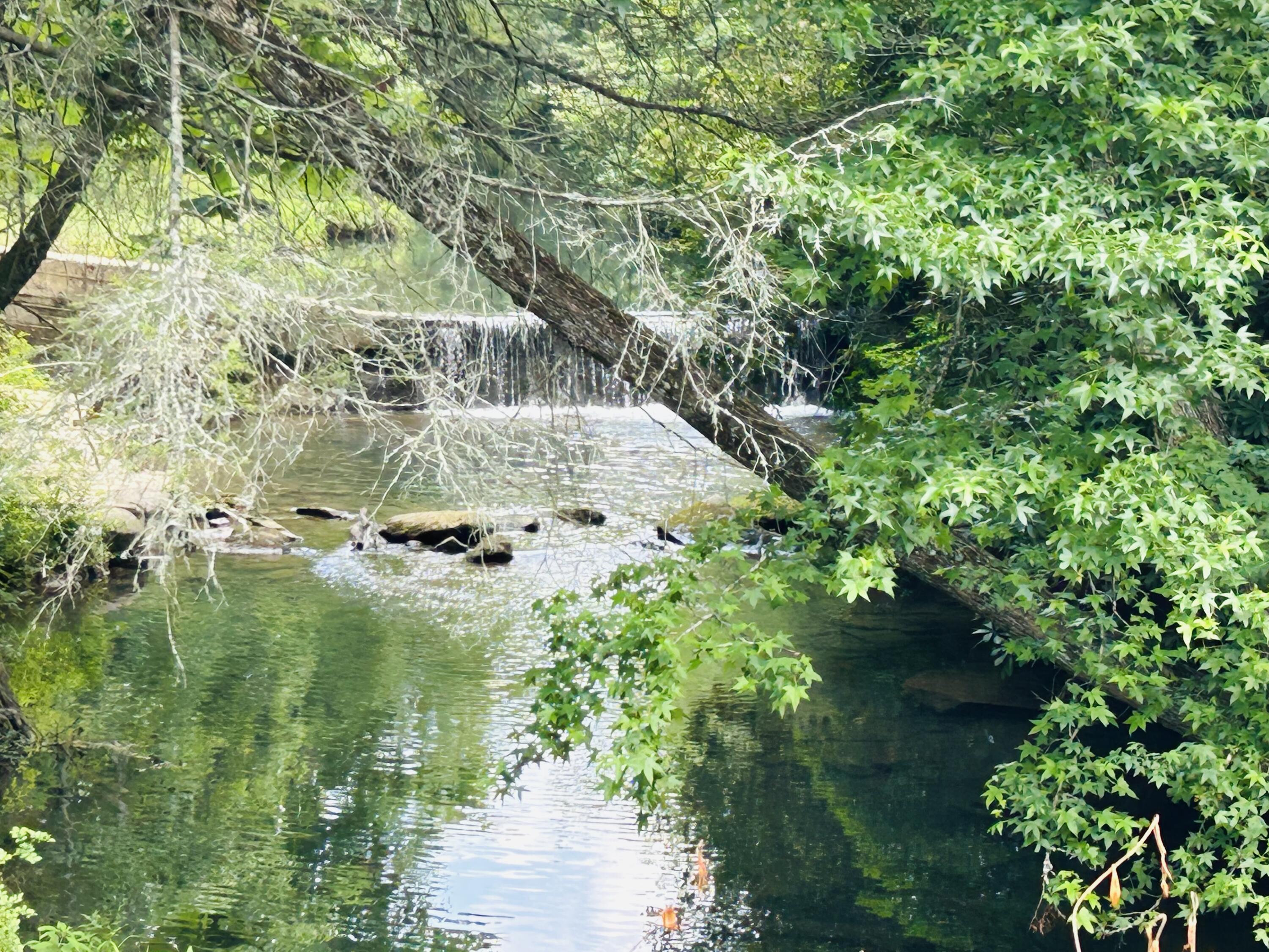 325 Pocket Road Whitwell, TN 37397 - Photo 49 of 58 WATERFALLS TO ENJOY