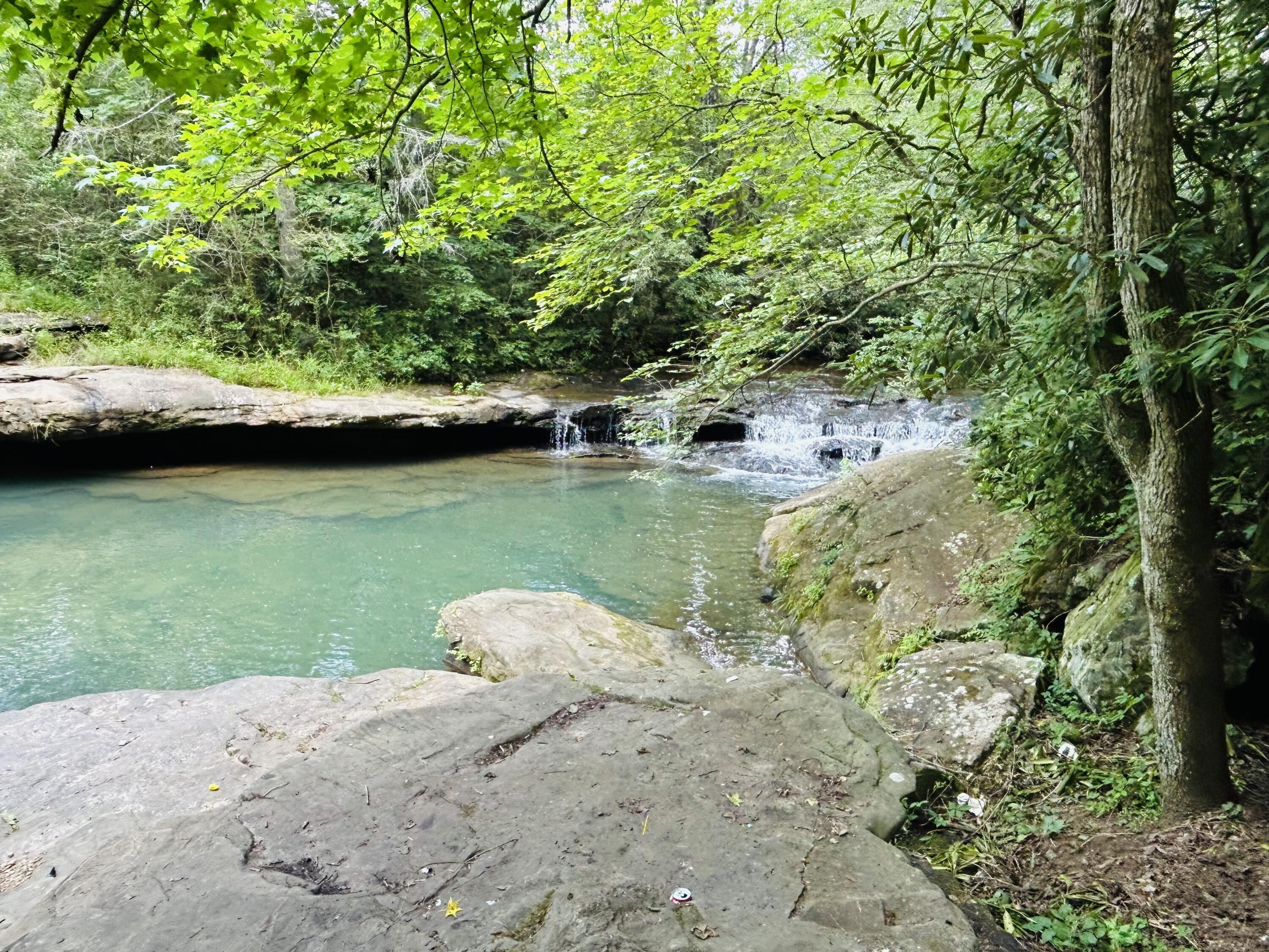 325 Pocket Road Whitwell, TN 37397 - Photo 50 of 58 COOL & INVITING