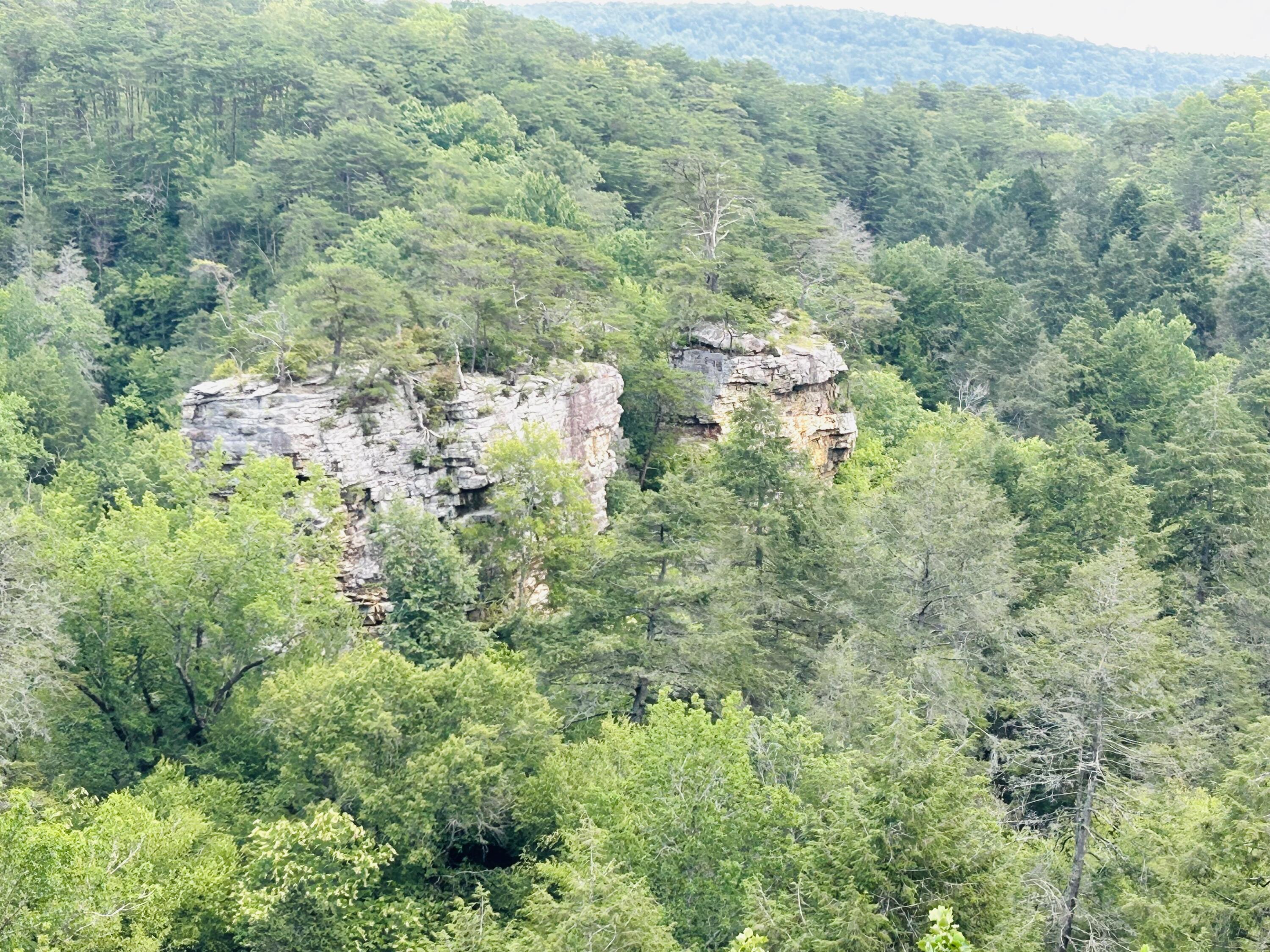 325 Pocket Road Whitwell, TN 37397 - Photo 53 of 58 CHIMNEYS STATE PARK