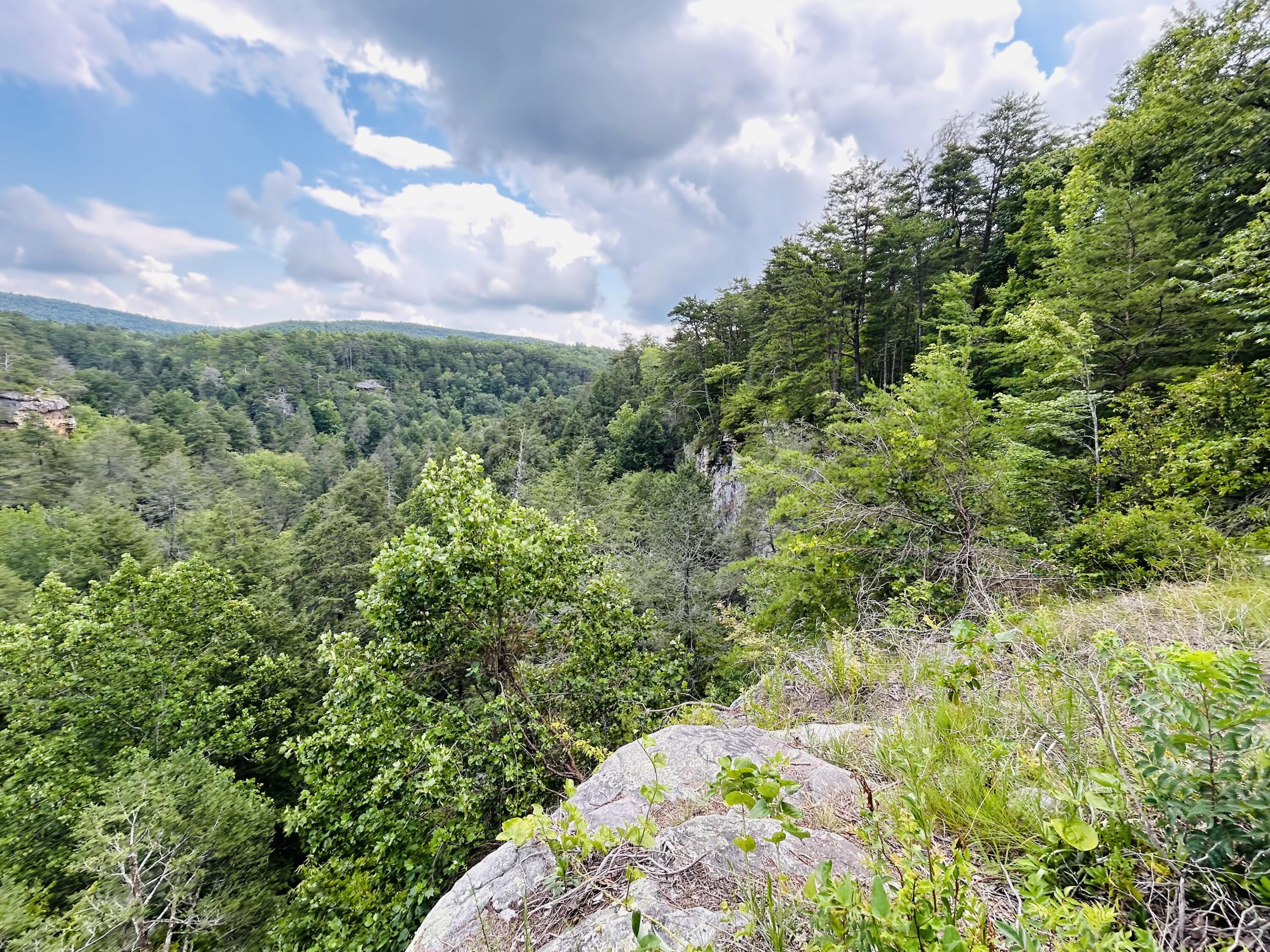 325 Pocket Road Whitwell, TN 37397 - Photo 54 of 58 CHIMNEYS STATE PARK