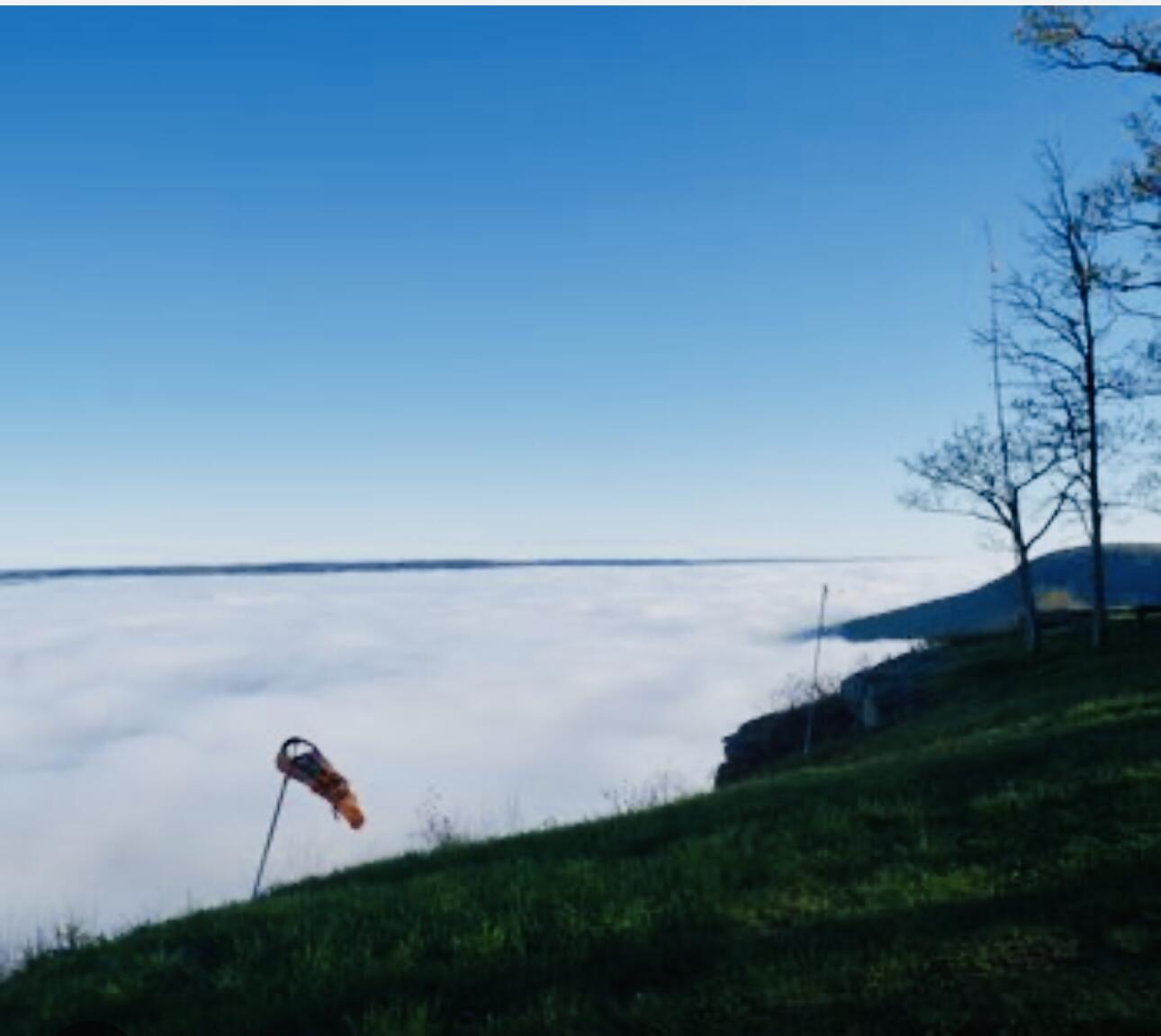 325 Pocket Road Whitwell, TN 37397 - Photo 58 of 58 STUNNING VIEWS