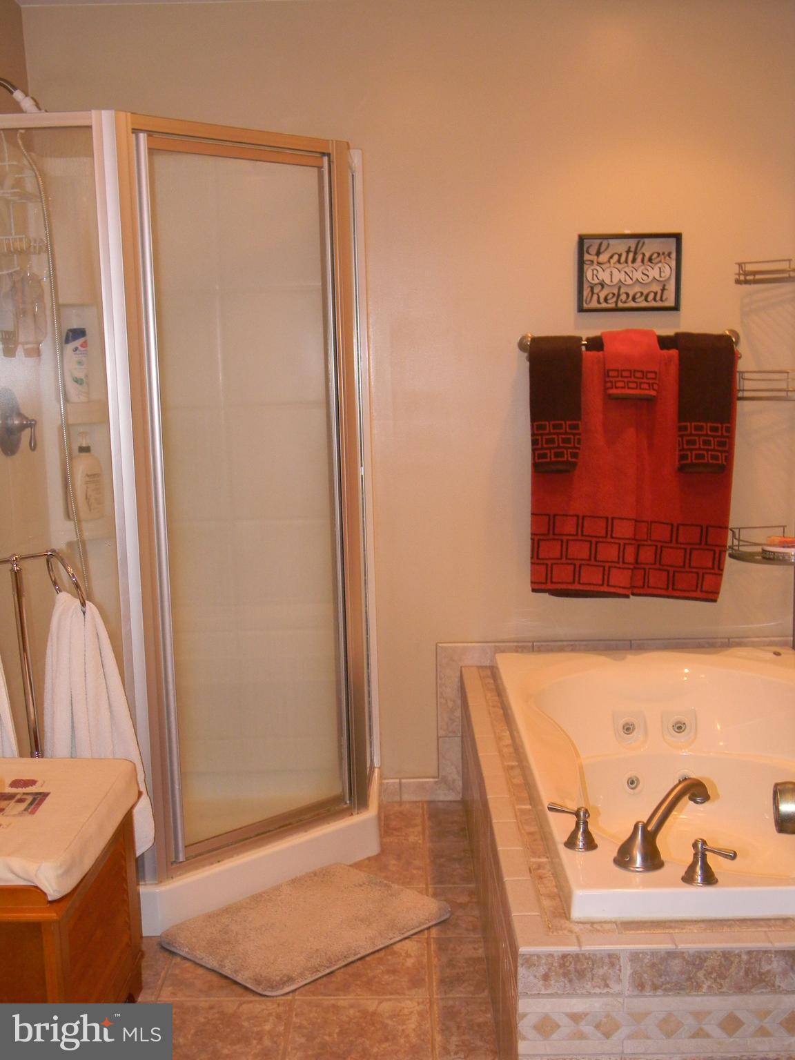 480 Little Egypt Road Elkton, MD 21921 - Photo 12 of 19 Bath
