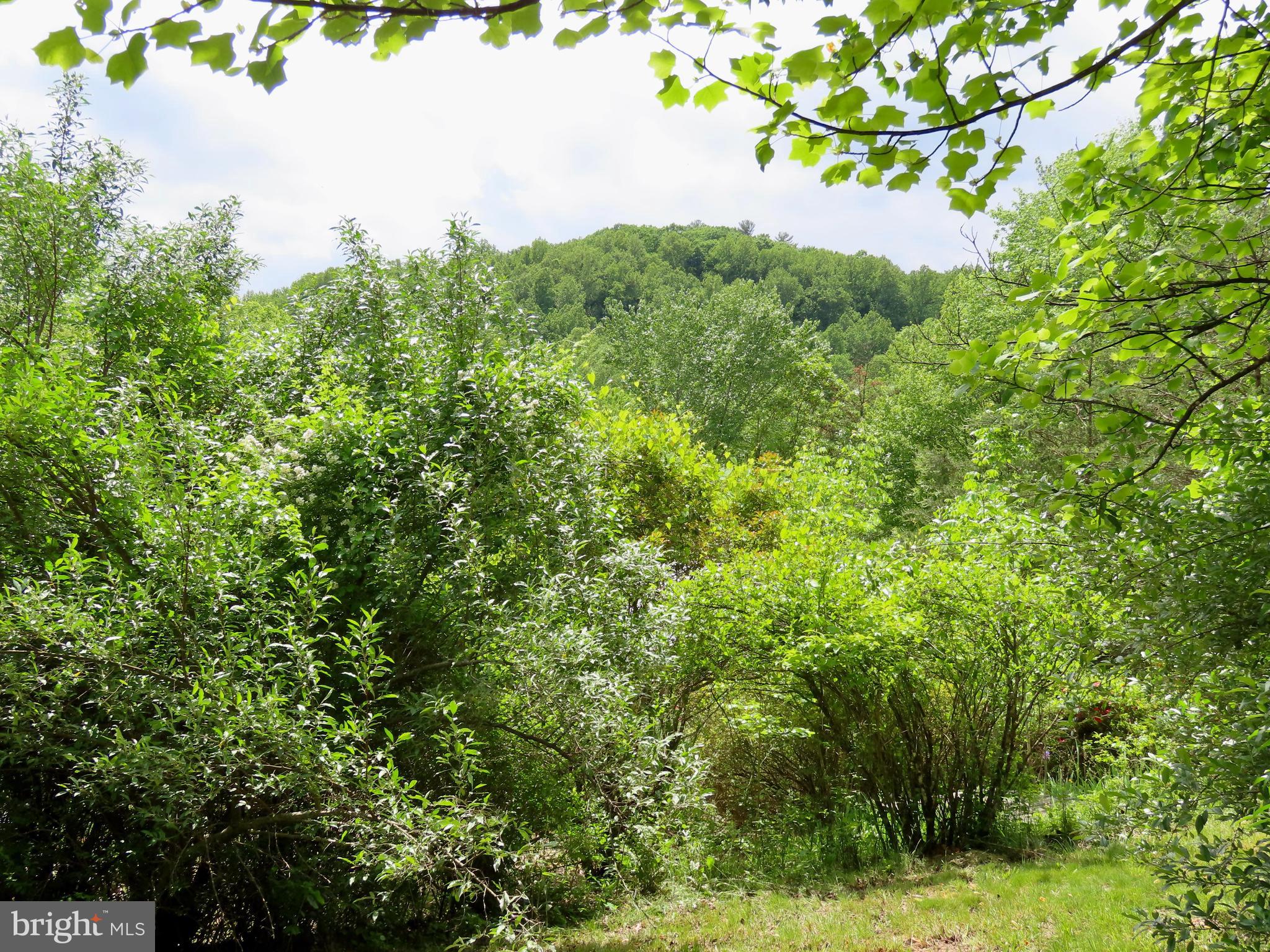 240 Whorton Hollow Road Castleton, VA 22716 - Photo 7 of 9 Mountain view