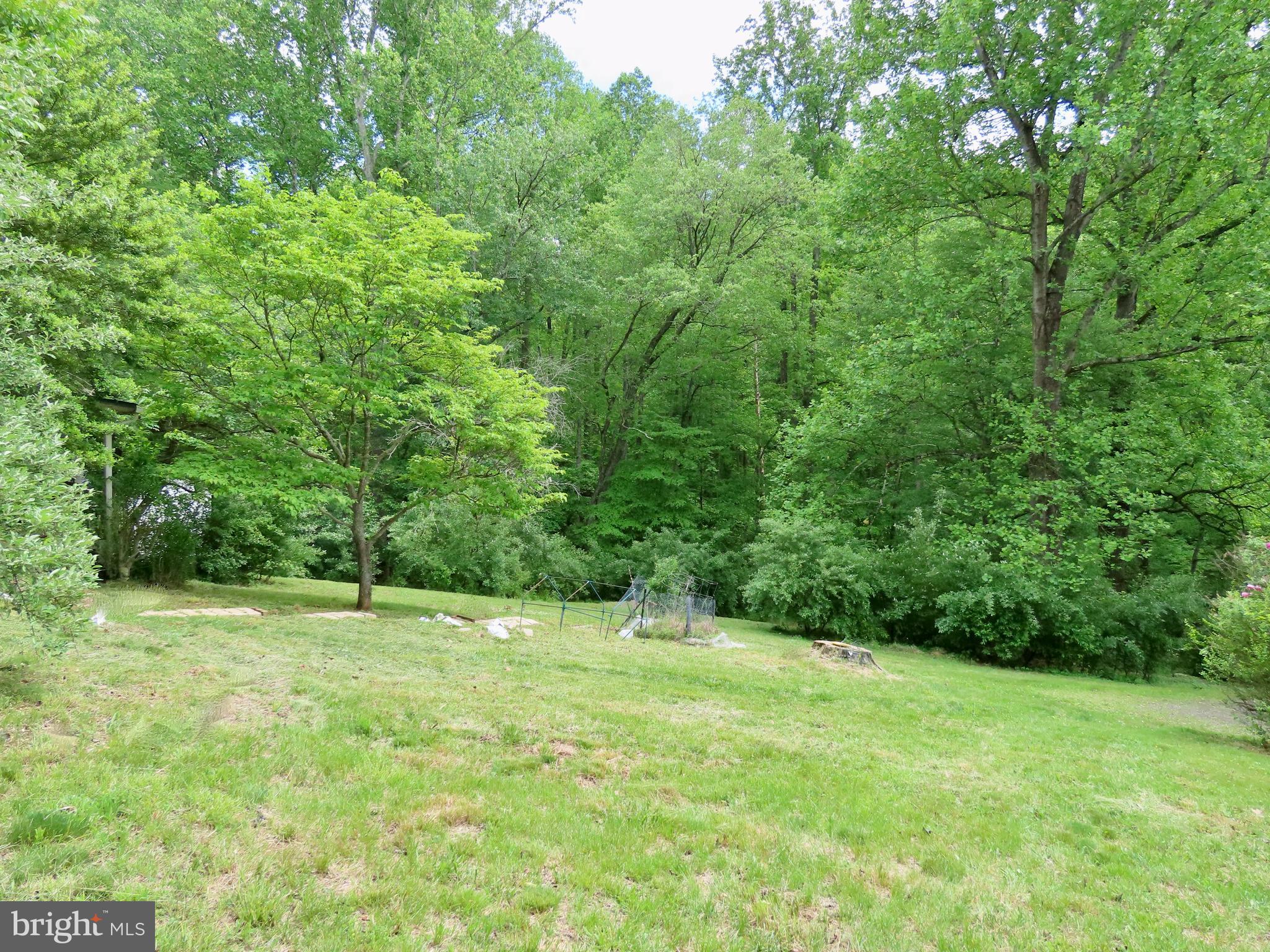 240 Whorton Hollow Road Castleton, VA 22716 - Photo 8 of 9 Lawn, nice trees, creek