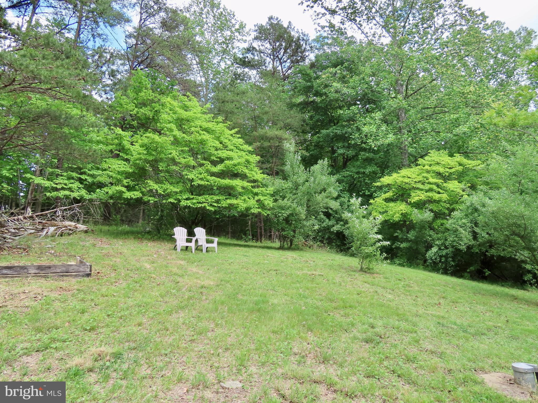 240 Whorton Hollow Road Castleton, VA 22716 - Photo 9 of 9 Upper yard behind the houses