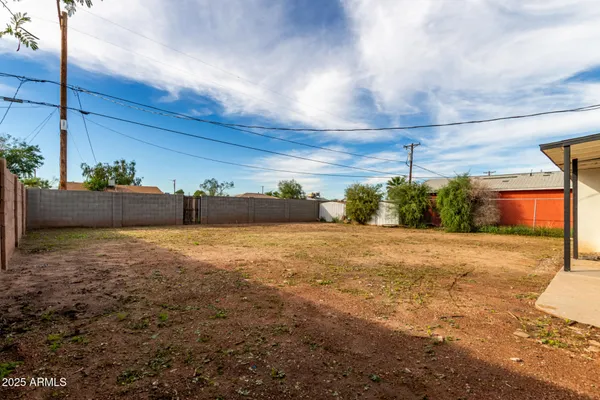 a street view with tall buildings