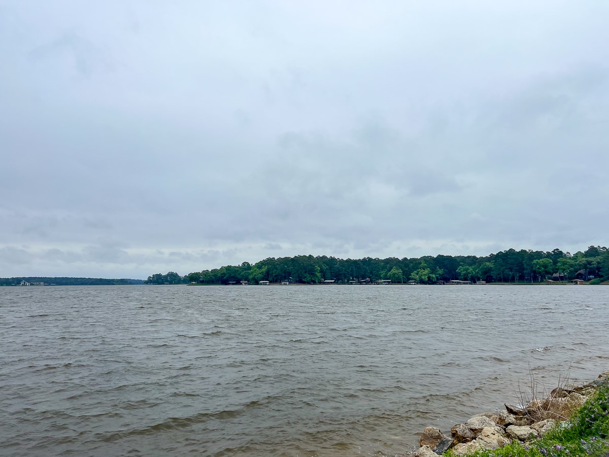 0 Forest Road Crockett, TX 75835 - Photo 9 of 11