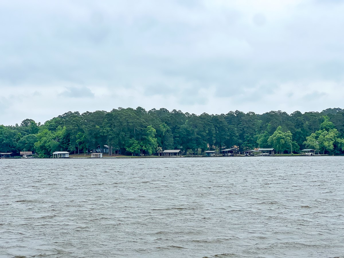 0 Forest Road Crockett, TX 75835 - Photo 10 of 11