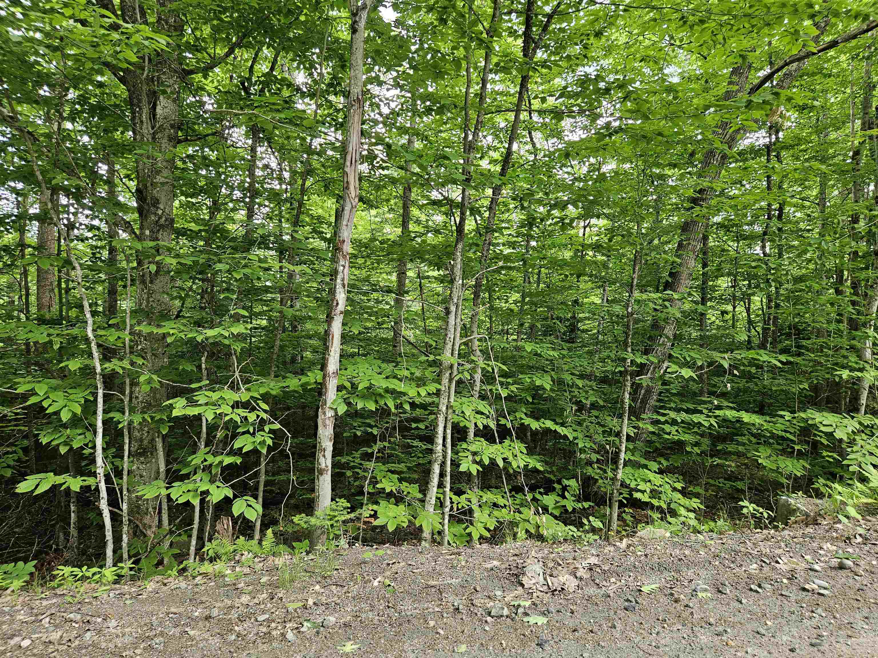 Lot 90 Faraway Road Dalton, NH 03598 - Photo 11 of 33