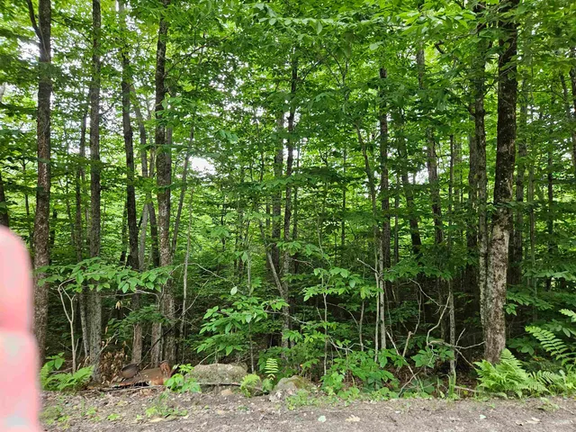 $325,000 | Lot 90 Faraway Road, Dalton, NH 03598