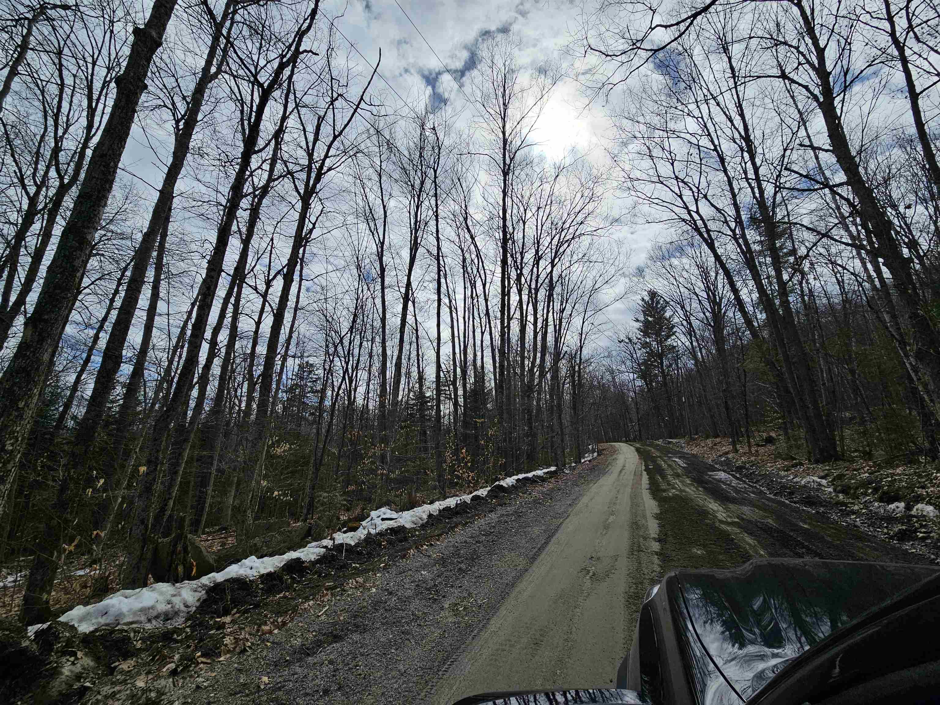 Lot 90 Faraway Road Dalton, NH 03598 - Photo 18 of 33