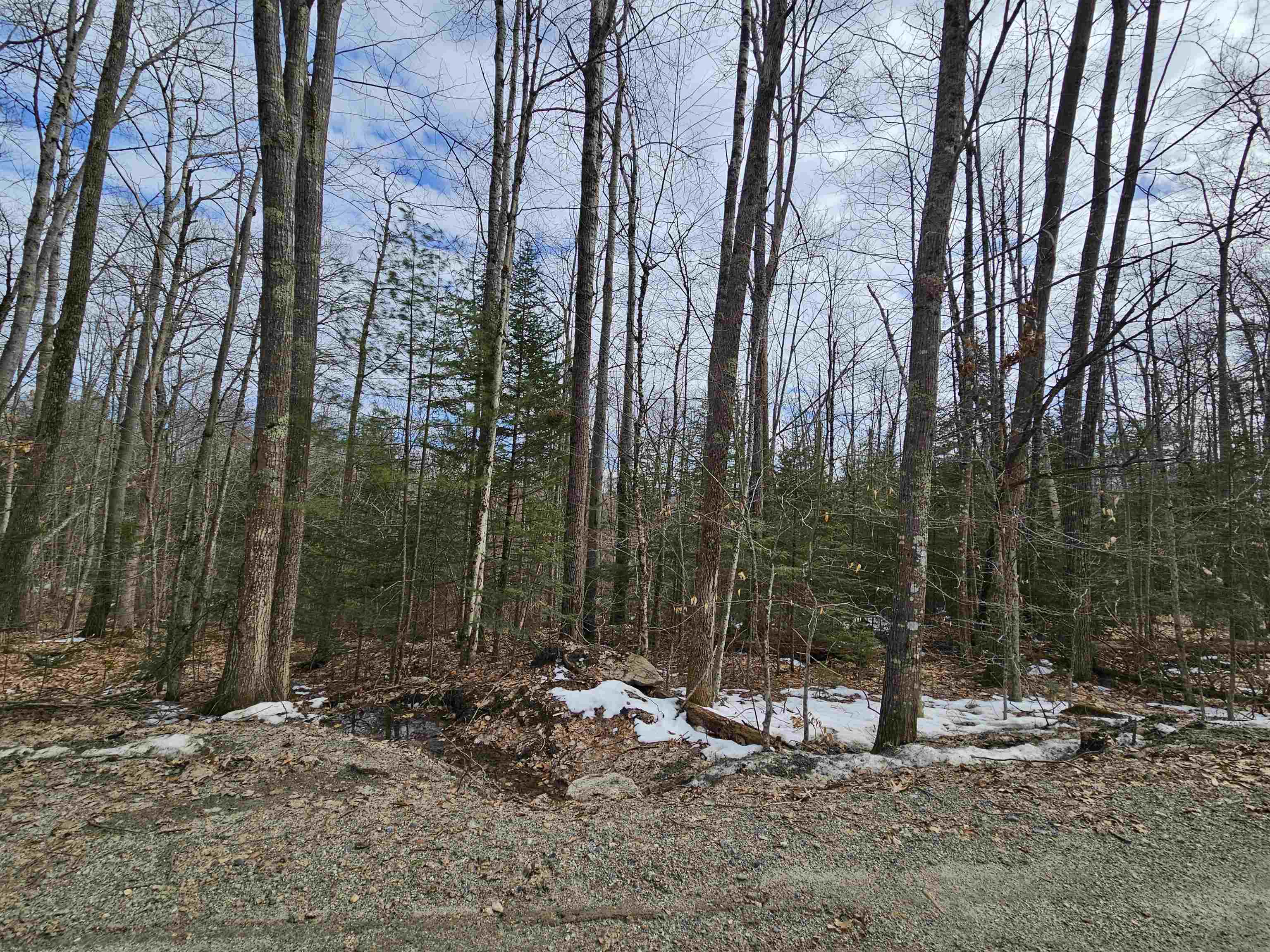 Lot 90 Faraway Road Dalton, NH 03598 - Photo 19 of 33