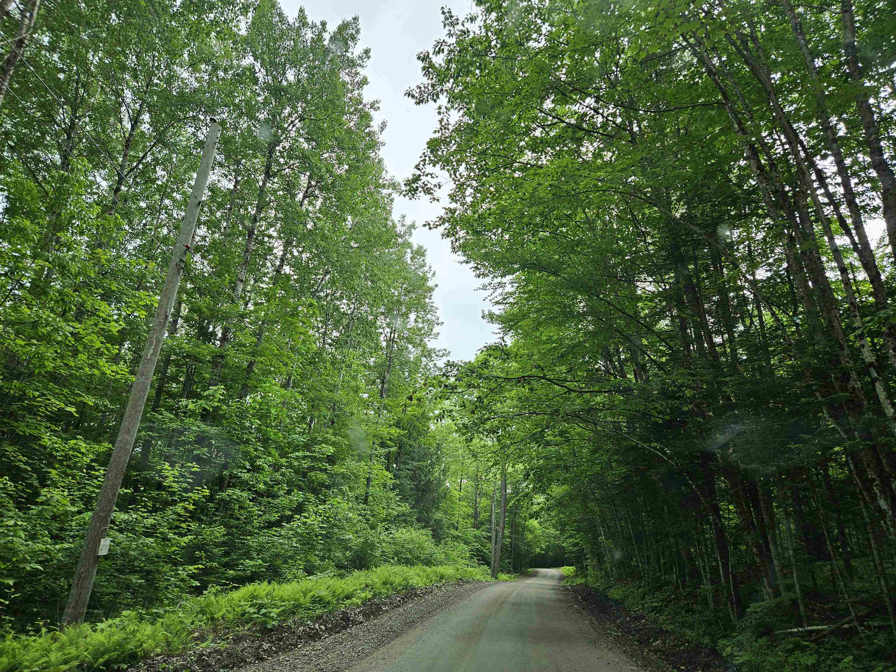 Lot 90 Faraway Road Dalton, NH 03598 - Photo 2 of 33