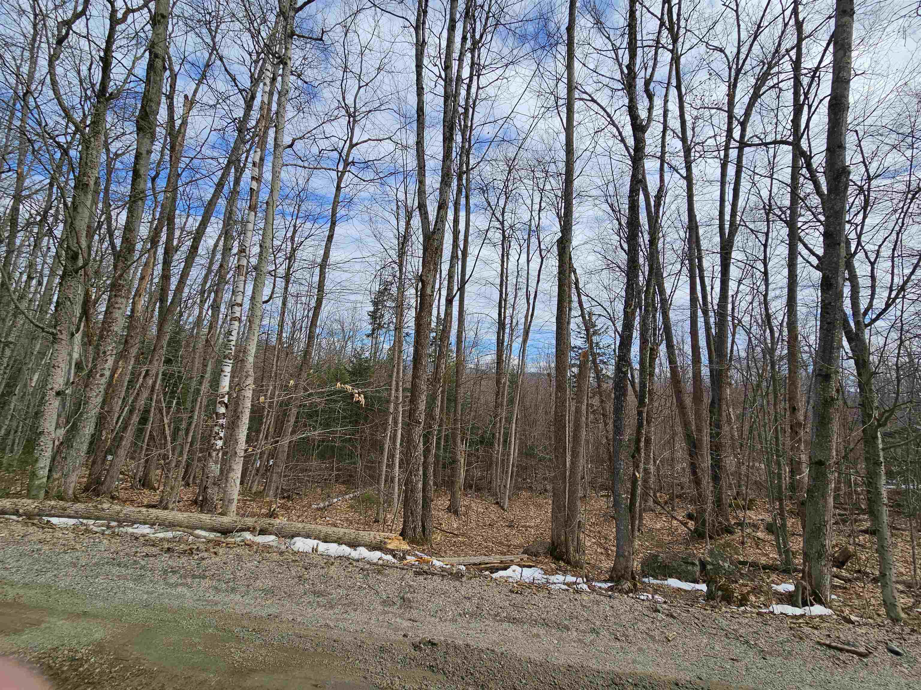 Lot 90 Faraway Road Dalton, NH 03598 - Photo 21 of 33